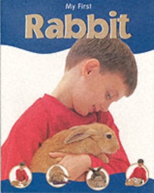 Image for My first rabbit