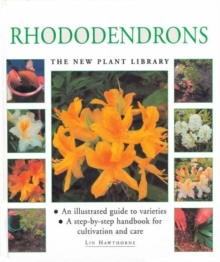 Image for LITTLE PLANT LIBRARY RHODODENDRO