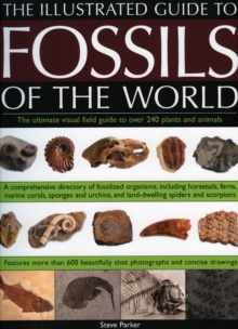 Image for Illustrated Guide to the Fossils of the World