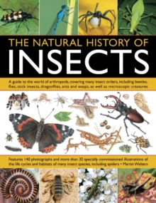 Image for Natural History of Insects