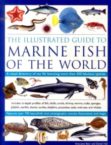 Image for Illustrated Guide to Marine Fish of the World