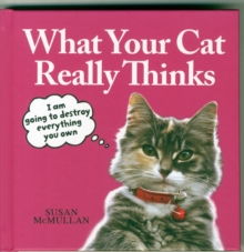 Image for What your cat really thinks