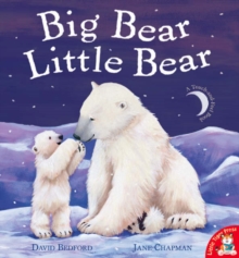 Image for Big Bear, Little Bear