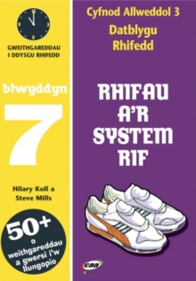 Image for CA3 Datblygu Rhifedd: Rhifau a'r System Rif Blwyddyn 7