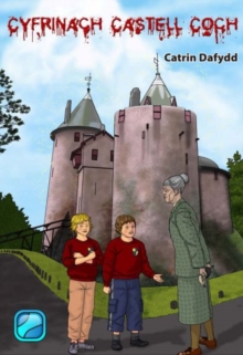 Image for Cyfrinach Castell Coch