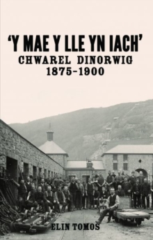Image for Y Mae y Lle yn Iach' - Chwarel Dinorwig 1875-1900