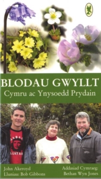 Image for Blodau Gwyllt Cymru ac Ynysoedd Prydain