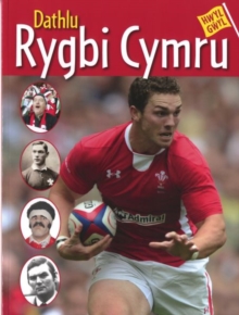 Image for Hwyl Gwyl: Dathlu Rygbi Cymru