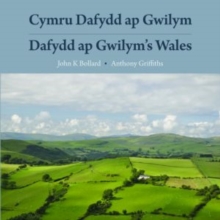 Image for Cymru Dafydd ap Gwilym  : cerddi a lleoedd