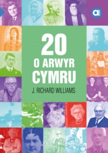 Image for Cyfres Amdani: 20 o Arwyr Cymru
