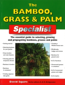 Image for Bamboo Grass & Palm Specialist