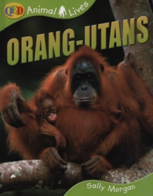 Image for Orang-utans