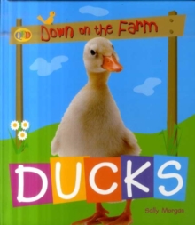 Image for Ducks