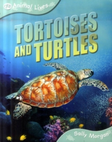 Image for Tortoises and turtles