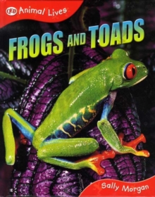 Image for Frogs and toads