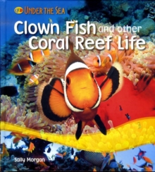 Image for Clown fish and other coral reef life