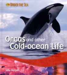 Image for Orcas and other cold-ocean life