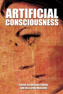 Image for Artificial consciousness