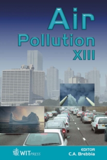 Image for Air pollution XIII