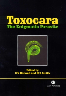 Image for Toxocara  : the enigmatic parasite
