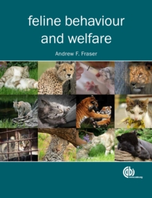 Image for Feline behaviour and welfare