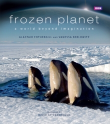 Image for Frozen planet  : a world beyond imagination