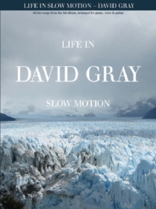 Image for David Gray : Life in Slow Motion