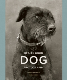 Image for Really Good Dog Photography