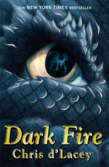 Image for The Last Dragon Chronicles: Dark Fire