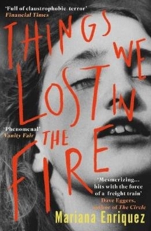 Image for Things We Lost in the Fire