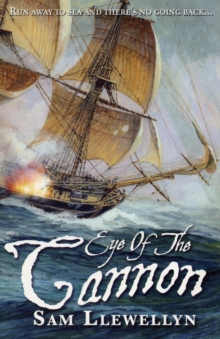 Eye of the Cannon