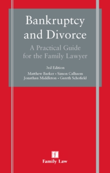 Image for Bankruptchy and divorce  : a practical guide for the family lawyer