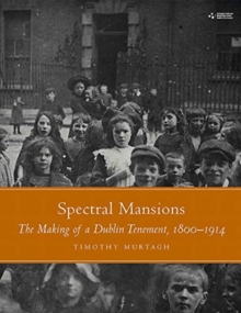 Image for Spectral mansions  : the making of a Dublin tenement, 1800-1914