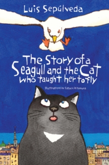 Image for The story of a seagull and the cat who taught her to fly