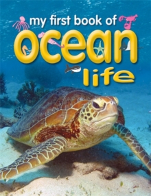Image for My First Book of Ocean Life