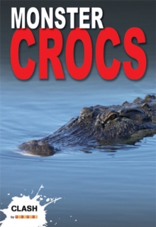 Image for Monster crocs