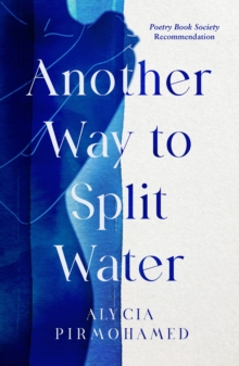 Cover for: Another Way to Split Water