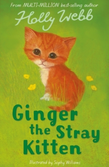 Image for Ginger the stray kitten