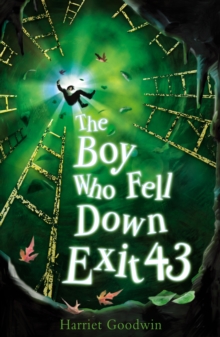 Image for The Boy Who Fell Down Exit 43