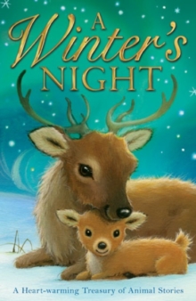 Image for A Winter's Night