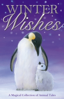 Image for Winter wishes