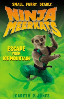 Image for Escape from ice mountain