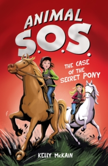 Image for The Case of the Secret Pony