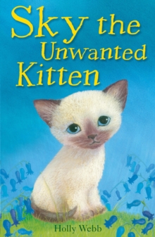 Image for Sky the unwanted kitten