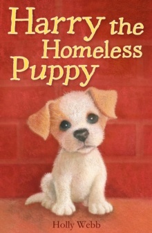 Image for Harry the homeless puppy