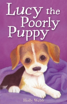 Image for Lucy the poorly puppy