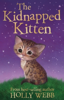 Image for The kidnapped kitten
