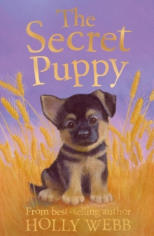 Image for The secret puppy