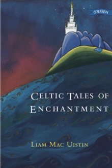 Image for Celtic tales of enchantment