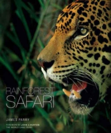 Image for Rainforest safari